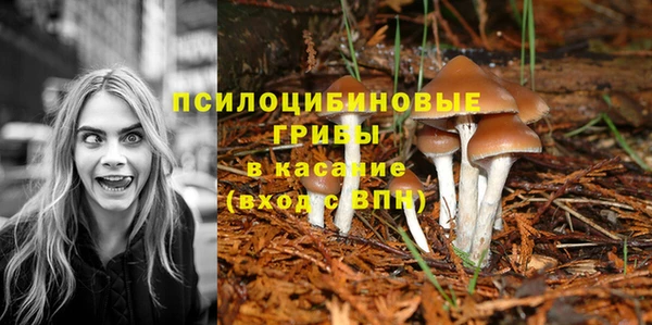 прущая мука Горнозаводск