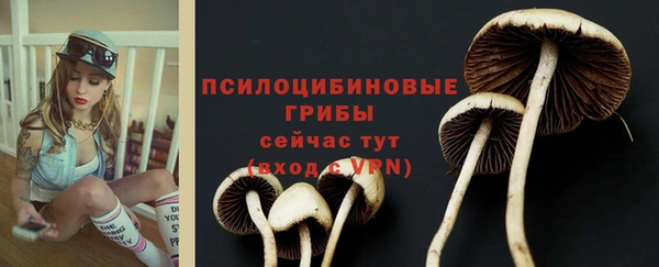 винт Вязьма