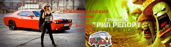 бутират Вяземский