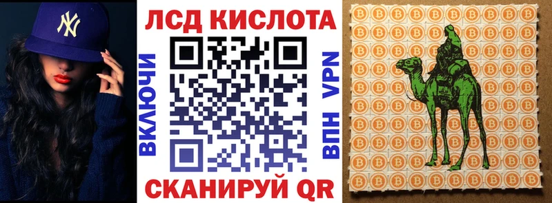 Купить где  Кашин  Марки 25I-NBOMe 1,5мг 